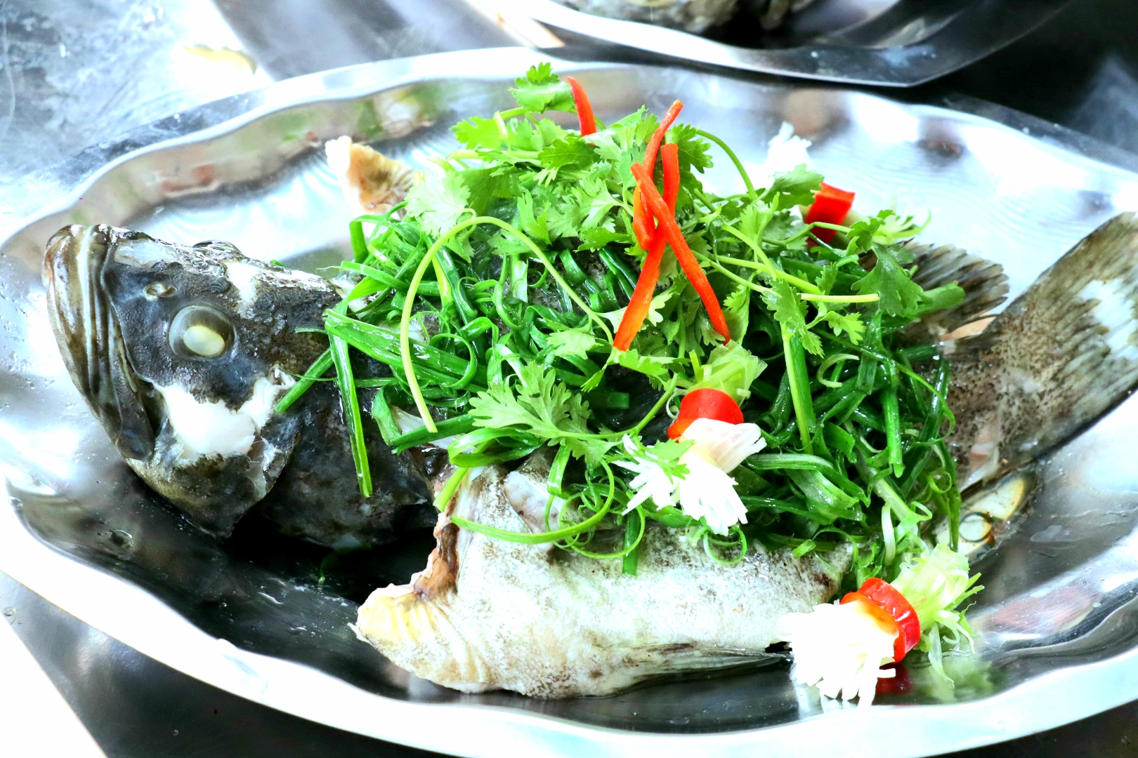 Cá Mú Hấp Lá Ô Liu Hồng Kông